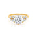ALYA - Round Lab Diamond Starburst Cluster Shoulder Set Engagement Ring 18k Yellow Gold Engagement Ring Lily Arkwright