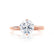 ANNORA - Round Moissanite 18k Rose Gold Twist Solitaire Ring Engagement Ring Lily Arkwright