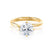 ANNORA - Round Moissanite 18k Yellow Gold Twist Solitaire Ring Engagement Ring Lily Arkwright