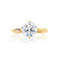 ANNORA - Round Moissanite 18k Yellow Gold Twist Solitaire Ring Engagement Ring Lily Arkwright