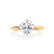 ANNORA - Round Natural Diamond 18k Yellow Gold Twist Solitaire Ring Engagement Ring Lily Arkwright