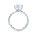 ANNORA - Round Moissanite 950 Platinum Twist Solitaire Ring Engagement Ring Lily Arkwright