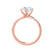 ANNORA - Round Natural Diamond 18k Rose Gold Twist Solitaire Ring Engagement Ring Lily Arkwright