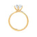 ANNORA - Round Moissanite 18k Yellow Gold Twist Solitaire Ring Engagement Ring Lily Arkwright