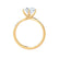 ANNORA - Round Natural Diamond 18k Yellow Gold Twist Solitaire Ring Engagement Ring Lily Arkwright