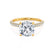 COCO - Cushion Moissanite & Diamond 18k Yellow Gold Hidden Halo Triple Pavé Shoulder Set Engagement Ring Lily Arkwright