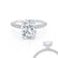 COCO - Elongated Cushion Moissanite & Diamond Platinum Petite Hidden Halo Triple Pavé Ring Engagement Ring Lily Arkwright