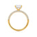 COCO - Princess Moissanite & Diamond 18k Yellow Gold Hidden Halo Triple Pavé Shoulder Set Engagement Ring Lily Arkwright