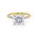 COCO - Princess Moissanite & Diamond 18k Yellow Gold Hidden Halo Triple Pavé Shoulder Set Engagement Ring Lily Arkwright