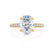 COCO - Oval Moissanite & Diamond 18k Yellow Gold Petite Hidden Halo Triple Pavé Shoulder Set Ring Engagement Ring Lily Arkwright