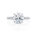 COCO - Round Moissanite & Diamond Platinum Petite Hidden Halo Triple Pavé Shoulder Set Ring Engagement Ring Lily Arkwright