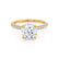 COCO- Round Moissanite & Diamond 18k Yellow Gold Petite Hidden Halo Triple Pavé Shoulder Set Ring Engagement Ring Lily Arkwright