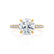 COCO- Round Moissanite & Diamond 18k Yellow Gold Petite Hidden Halo Triple Pavé Shoulder Set Ring Engagement Ring Lily Arkwright