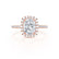 DARLEY - Elongated Cushion Lab Diamond 18k Rose Gold Halo Engagement Ring Lily Arkwright