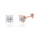 DOVE - Round Moissanite 18k Rose Gold Donut Basket Stud Earrings Earrings Lily Arkwright