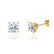 DOVE - Round Moissanite 18k Yellow Gold Donut Basket Stud Earrings Earrings Lily Arkwright