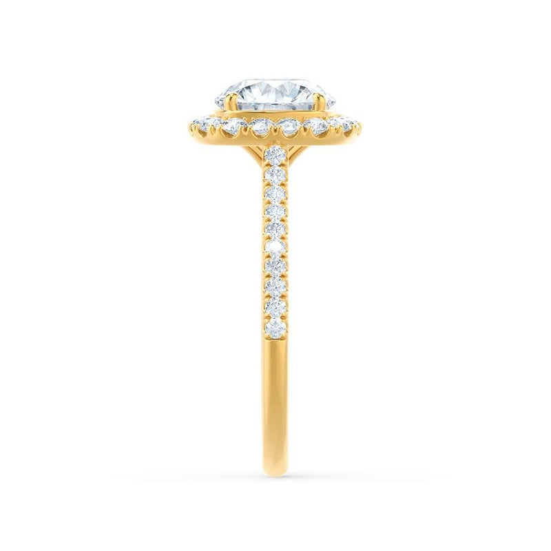 DARLEY - Elongated Cushion Micro Pavé 18k Yellow Gold Halo Engagement Ring Lily Arkwright