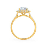 DARLEY - Elongated Cushion Lab Diamond 18k Yellow Gold Halo Engagement Ring Lily Arkwright