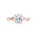 EDEN - Moissanite & Diamond 18k Rose Gold Vine Solitaire Engagement Ring Lily Arkwright