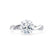 EDEN - Round Natural Diamond 950 Platinum Vine Solitaire Ring Engagement Ring Lily Arkwright