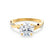 EDEN - Round Natural Diamond 18k Yellow Gold Vine Solitaire Ring Engagement Ring Lily Arkwright