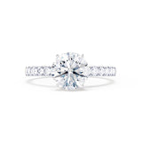 GISELLE - Round Natural Diamond 950 Platinum Solitaire Ring Engagement Ring Lily Arkwright