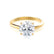 GRACE - Round Lab Diamond 18k Yellow Gold Solitaire Ring Engagement Ring Lily Arkwright