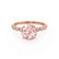 HOPE - Chatham® Round Champagne Sapphire 18k Rose Gold Shoulder Set Ring Engagement Ring Lily Arkwright