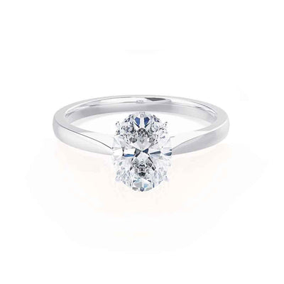 Timeless Love: A Journey of Brilliance