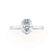 ISABELLA - Oval Moissanite 950 Platinum Solitaire Ring Engagement Ring Lily Arkwright