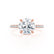 LIVELY - Round Natural Diamond 18k Rose Gold Hidden Halo Micro Pavé Shoulder Set Ring Engagement Ring Lily Arkwright