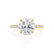 LIVELY - Round Lab Diamond 18k Yellow Gold Petite Hidden Halo Pavé Shoulder Set Ring Engagement Ring Lily Arkwright