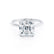 PARIS - Asscher Moissanite & Diamond Platinum Hidden Halo Engagement Ring Lily Arkwright