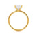PARIS - Princess Moissanite & Diamond 18k Yellow Gold Hidden Halo Engagement Ring Lily Arkwright