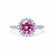LAVENDER- Chatham Pink Sapphire & Diamond 950 Platinum Petite Halo Engagement Ring Lily Arkwright