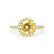 Lavender yellow gold halo shoulder set Chatham round Yellow Sapphire diamond engagement ring Lily Arkwright 