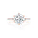 LILLIE LUXE - Round Moissanite & Diamond 18k Rose Gold Shoulder Set Ring Engagement Ring Lily Arkwright
