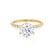 LILLIE LUXE - Round Moissanite & Diamond 18k Yellow Gold Shoulder Set Ring Engagement Ring Lily Arkwright