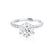 LILLIE LUXE - Round Moissanite & Diamond 18k White Gold Shoulder Set Ring Engagement Ring Lily Arkwright