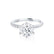 LILLIE LUXE - Round Moissanite & Diamond 950 Platinum Shoulder Set Ring Engagement Ring Lily Arkwright