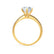 LILLIE LUXE - Round Moissanite & Diamond 18k Yellow Gold Shoulder Set Ring Engagement Ring Lily Arkwright