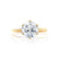 LILLIE - Round Moissanite 18K Yellow Gold 6 Prong Knife Edge  Solitaire Ring Engagement Ring Lily Arkwright