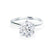 LILLIE - Round Lab Diamond 950 Platinum 6 Prong Knife Edge Solitaire Ring Engagement Ring Lily Arkwright