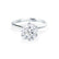 LILLIE - Round Natural Diamond 950 Platinum 6 Prong Knife Edge Solitaire Ring Engagement Ring Lily Arkwright