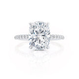 LIVELY - Elongated Cushion Moissanite & Diamond Platinum Petite Hidden Halo Pavé Shoulder Set Ring Engagement Ring Lily Arkwright