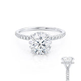 LIVELY - Round Natural Diamond 950 Platinum Petite Hidden Halo Pavé Shoulder Set Ring Engagement Ring Lily Arkwright