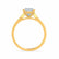ROSALEE - Princess Moissanite 18k Yellow Gold Solitaire Ring Engagement Ring Lily Arkwright