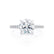 CATALINA - Round Lab Diamond Platinum Shoulder Set Ring Engagement Ring Lily Arkwright