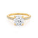 CATALINA - Round Lab Diamond 18k Yellow Gold Shoulder Set Ring Engagement Ring Lily Arkwright