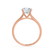 DAHLIA - Round Moissanite 18k Rose Gold Split Shank Solitaire Ring Engagement Ring Lily Arkwright